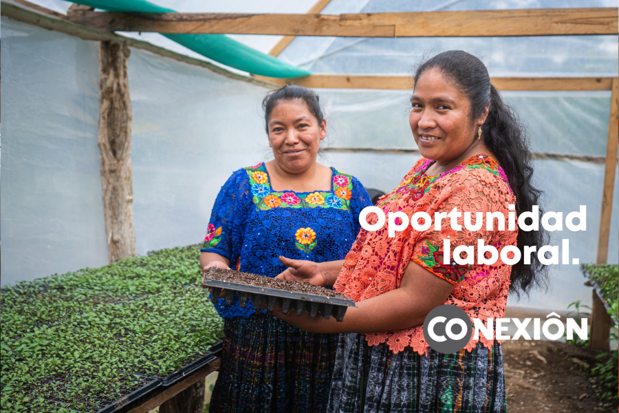 Técnico en Buenas Prácticas de Manufactura (BPMs), Transformación agroalimentario, Desarrollo Empresarial y Comercialización.  